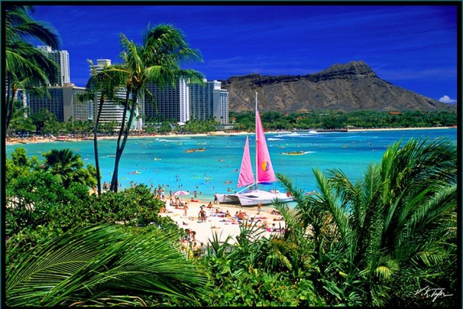 Waikiki Pink Boat - Vincent Khoury Tylor -  www.hawaiianphotos.net